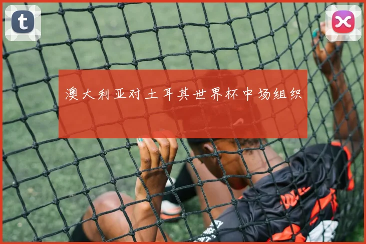 澳大利亚对土耳其世界杯中场组织