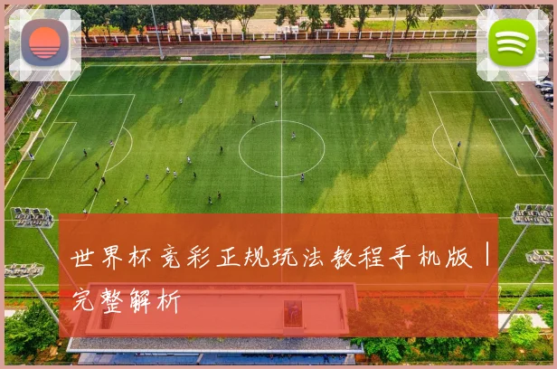 世界杯竞彩正规玩法教程手机版|完整解析