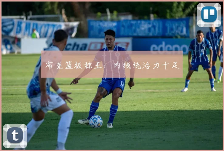布克篮板称王，内线统治力十足