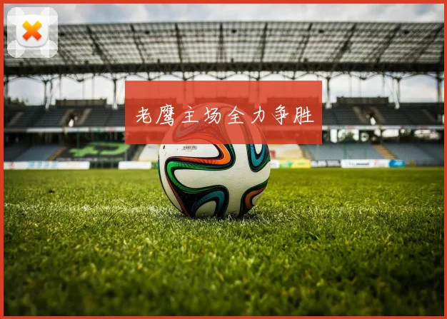 老鹰主场全力争胜