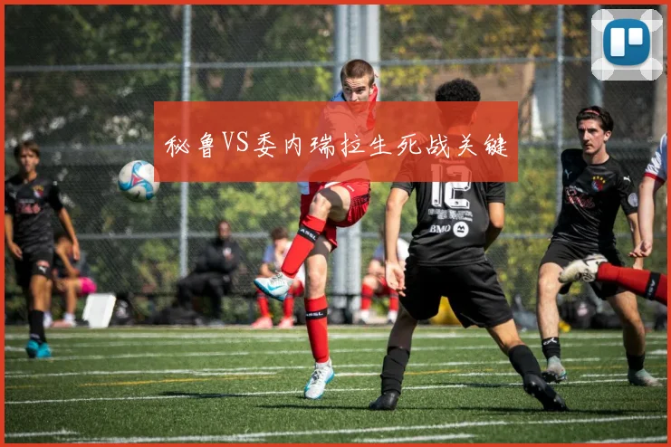 秘鲁VS委内瑞拉生死战关键