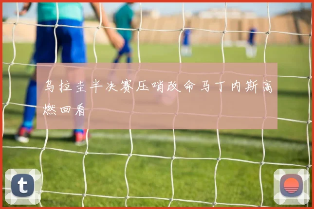 乌拉圭半决赛压哨改命马丁内斯高燃回看