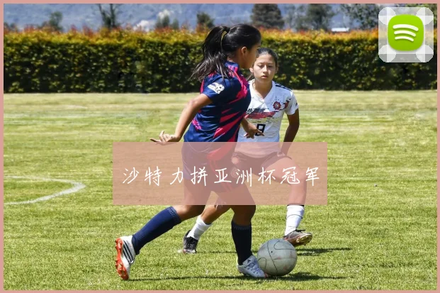 沙特力拼亚洲杯冠军