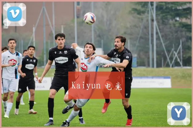 Kaiyun 电竞