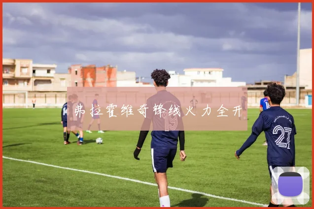 弗拉霍维奇锋线火力全开