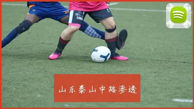 山东泰山中路渗透