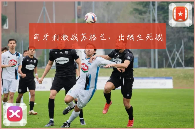 匈牙利激战苏格兰,出线生死战