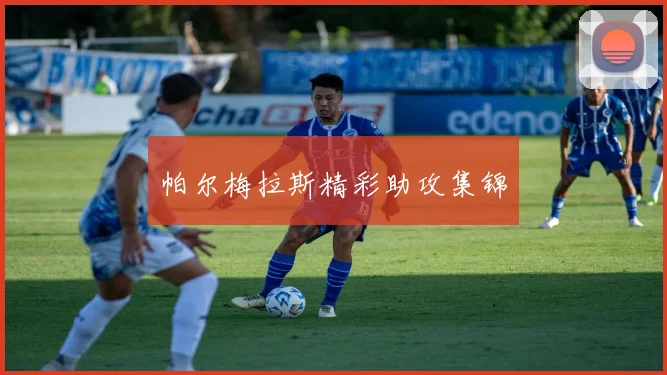 帕尔梅拉斯精彩助攻集锦