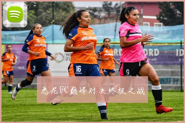 悉尼FC巅峰对决终极之战