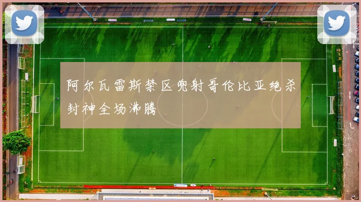 阿尔瓦雷斯禁区兜射哥伦比亚绝杀封神全场沸腾