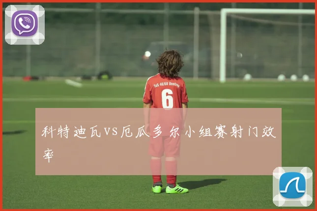 科特迪瓦vs厄瓜多尔小组赛射门效率