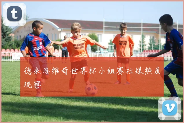 德米洛维奇世界杯小组赛社媒热度观察