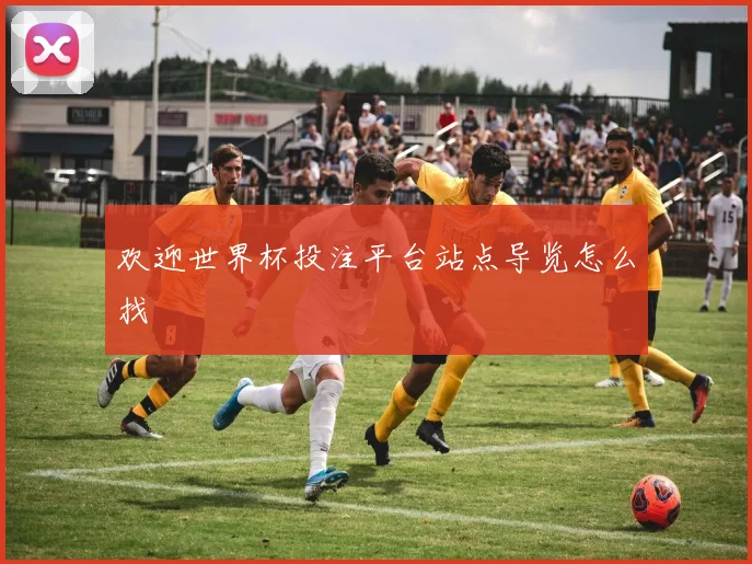 欢迎世界杯投注平台站点导览怎么找