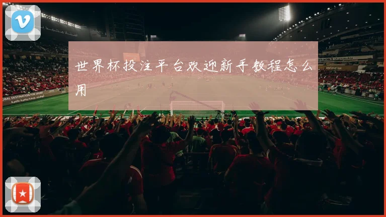 世界杯投注平台欢迎新手教程怎么用