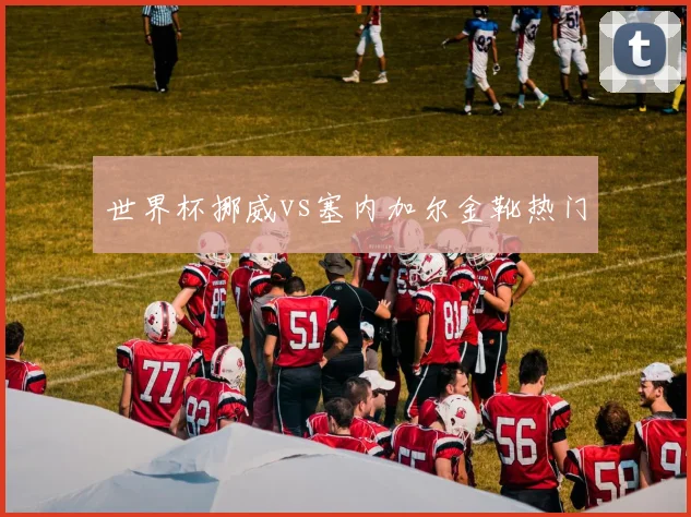 世界杯挪威vs塞内加尔金靴热门