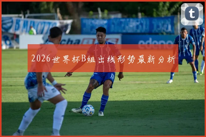 2026世界杯B组出线形势最新分析