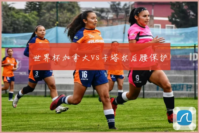 世界杯加拿大vs卡塔尔后腰保护