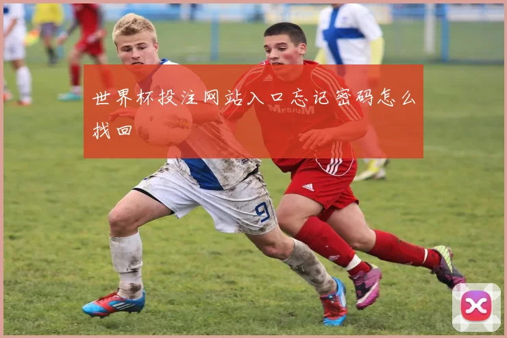 世界杯投注网站入口忘记密码怎么找回