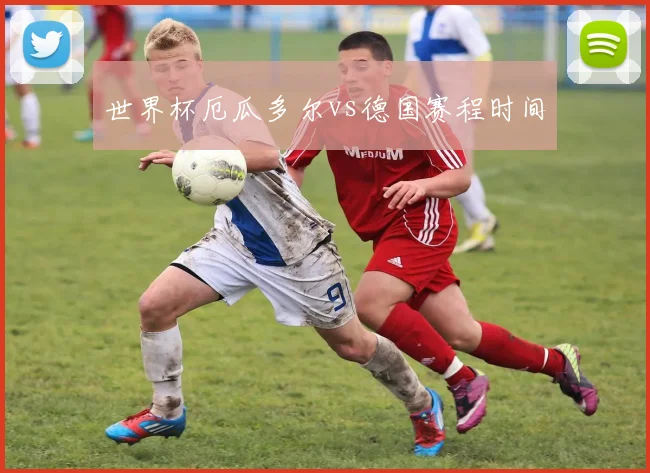世界杯厄瓜多尔vs德国赛程时间